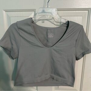 Wildflowers Gray Fitted Crop T-Shirt with Short Sleeves